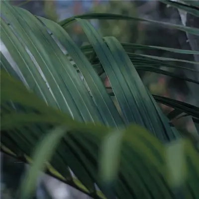 春梦无痕 - 纯音乐封面
