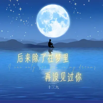 后来除了在梦里再没见过你（伴奏）封面