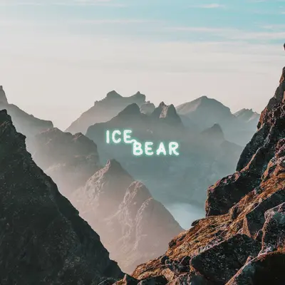 Unknown - Ice Bear封面