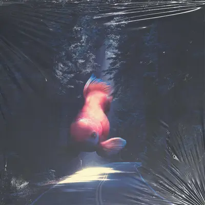 Rivers and Roads (feat. The Head and the Heart)封面