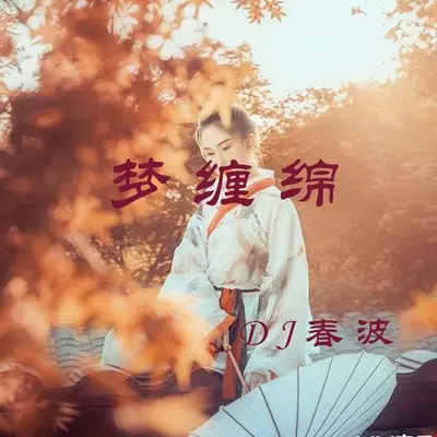 梦缠绵(DJ春波版)封面