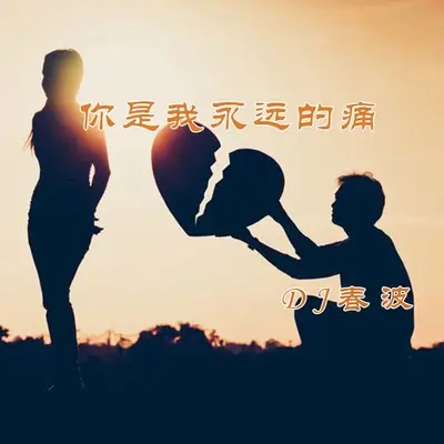 你是我永远的痛(DJ春波版)封面