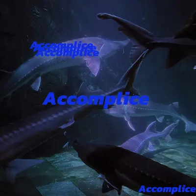 共犯Accomplice封面