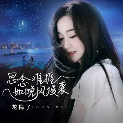 思念难捱如晚风侵袭封面