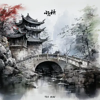 小石桥封面