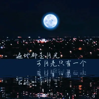 遍地都是月光 可月亮只有一个封面