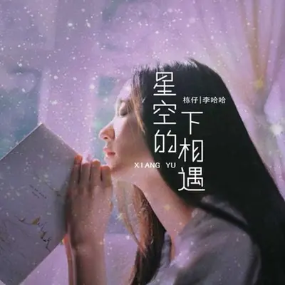星空下的相遇封面