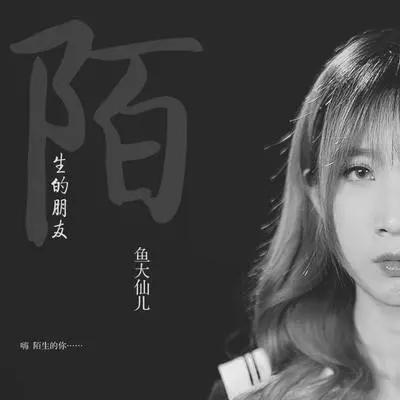 陌生的朋友封面