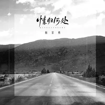 情归何处封面