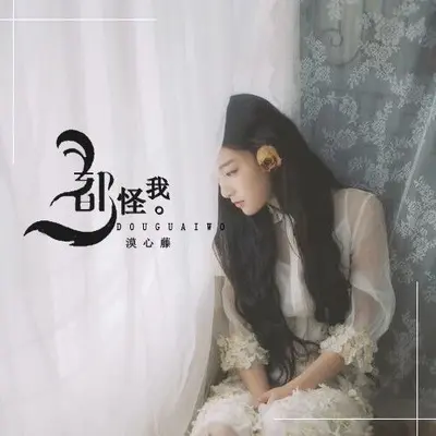 都怪我封面