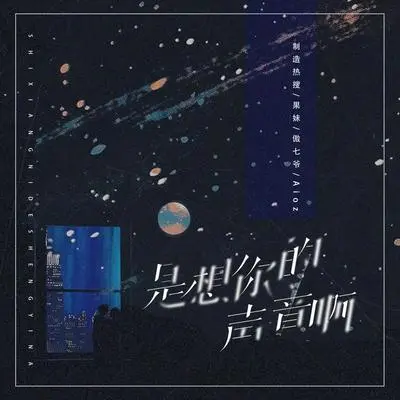 是想你的声音啊2024（说唱DJ版）封面
