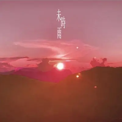 逃 - 未时雨封面