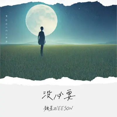 没必要 - 魏星WEESON封面