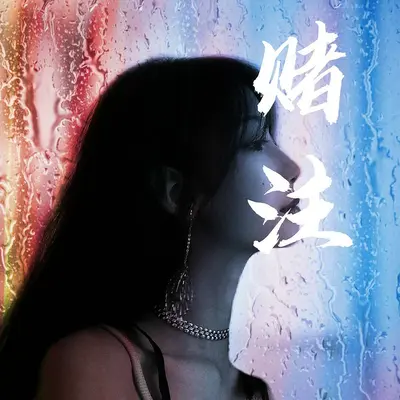 赌注封面