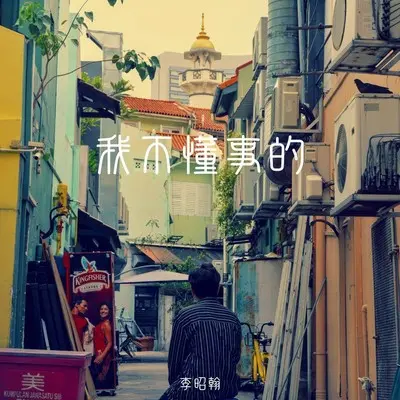 我不懂事的封面