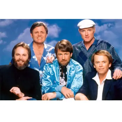 Fun, Fun, Fun (Backing Track+Instrumental, 2001 Digital Remaster) - The Beach Boys封面