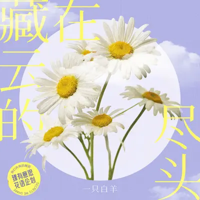 藏在云的尽头封面