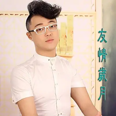 友情岁月封面