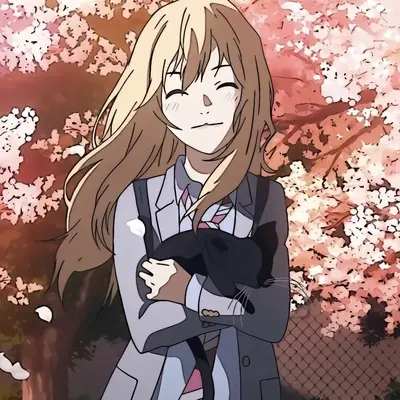 季节封面