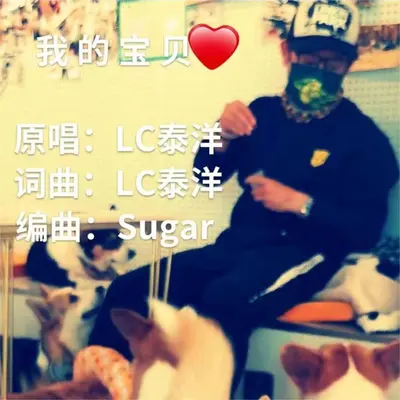 我的宝贝封面