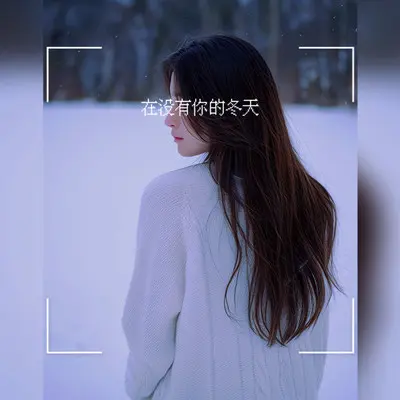 在没有你的冬天封面