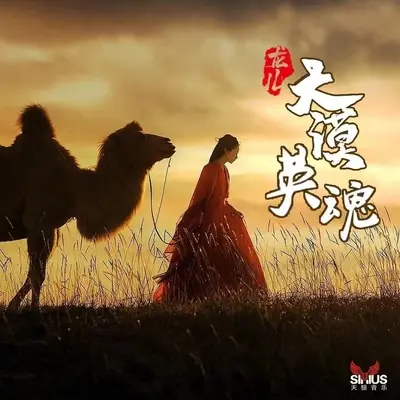 大漠英魂封面