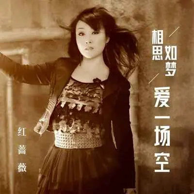 相思如梦爱一场空(DJ版伴奏) - 红蔷薇封面