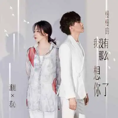 慢慢的我没有那么想你了(伴奏)封面