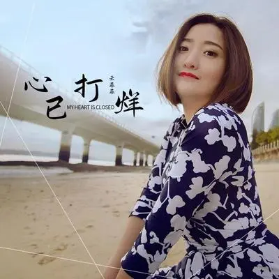 心已打烊 - 云菲菲封面
