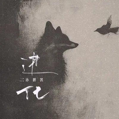 进化 - 孙鹏凯封面