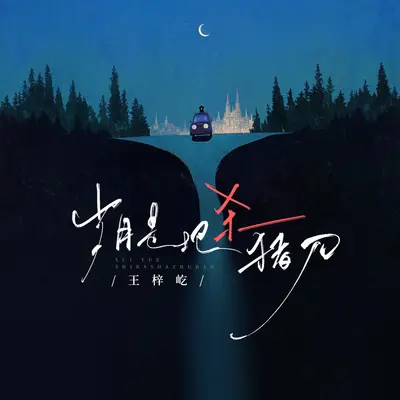 岁月是把杀猪刀封面