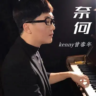 奈何 - 曾心 / 曾春年封面