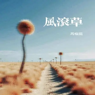 风滚草封面