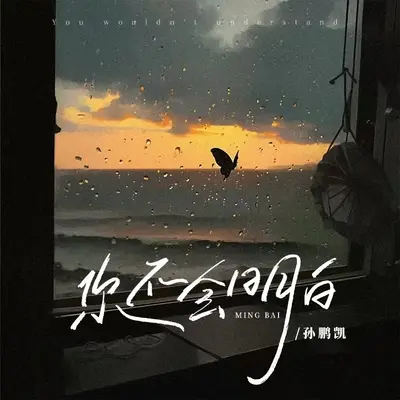 你不会明白封面