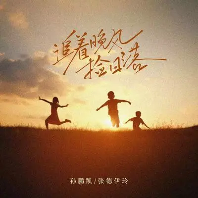 追着晚风捡日落封面