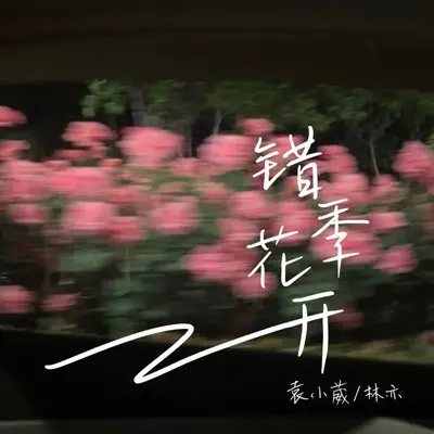 错季花开 - 袁小葳 / 林亦封面