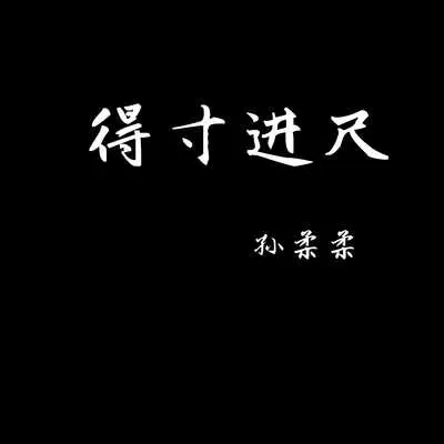 不如随风去 - 孙柔柔封面