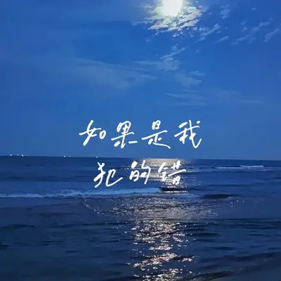 如果是我犯的错封面