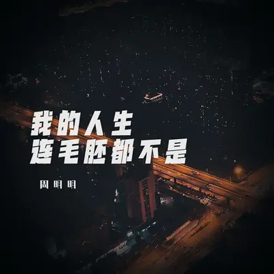 我的人生连毛胚都不是封面