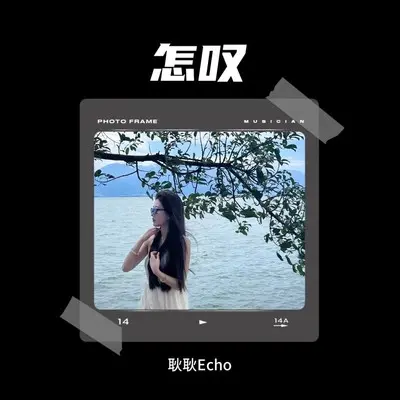 怎叹封面