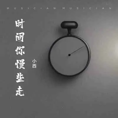 时间你慢些走封面