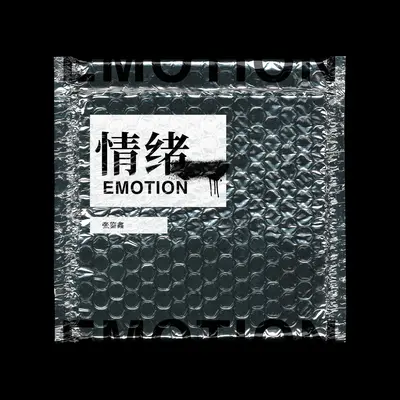 情绪 - 张鉴鑫封面