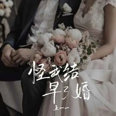 怪我结早了婚 (DJ EVA版) - 王一一封面