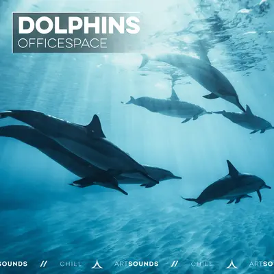 Dolphins封面