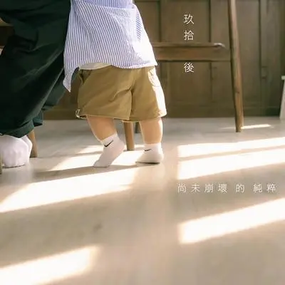 尚未崩坏的纯粹封面