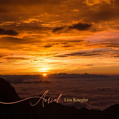Let the wind carry you - Lisa Kriegler封面