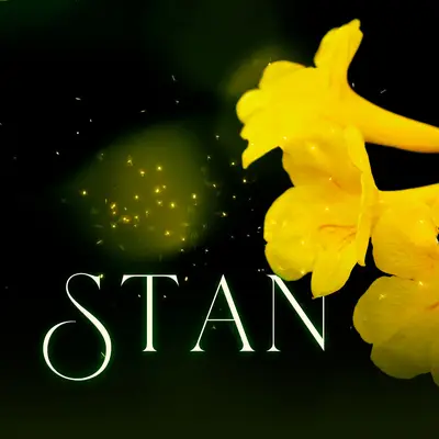 Stan封面