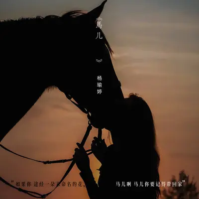 马儿封面