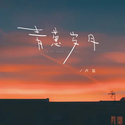 青葱岁月封面