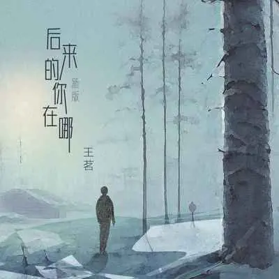 后来的你在哪 (新版)封面